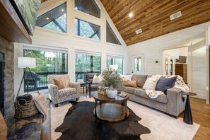 Televisión, chimenea, libros