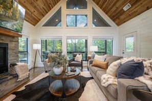 Televisión, chimenea, libros