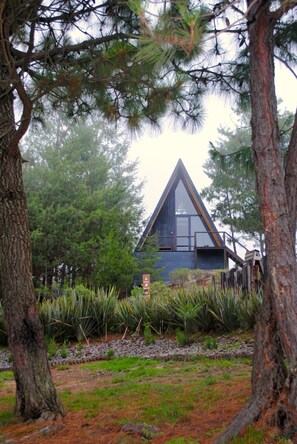 Exterior - Chalets Piedra Alta (Zacatlán)