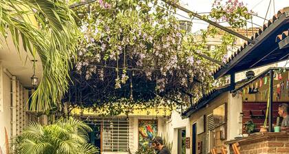 Cacao Hostel Santa Marta