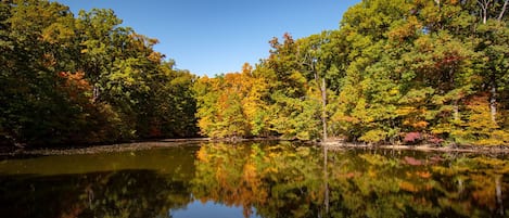 A serene lake surrounded by dense forest with autumn foliage.