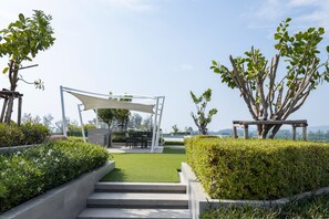 Terrain de l’hébergement 