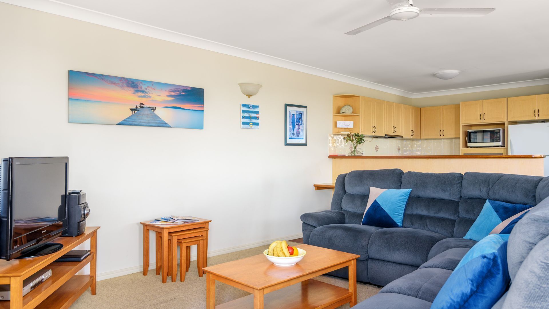 تلفزيون، مشغل دي في دي