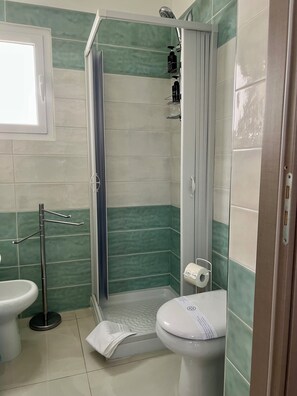 Shower, hair dryer, bidet, towels