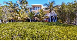 Une propriété située en bord de mer, comprenant une grande maison, des palmiers et une pelouse bien entretenue.