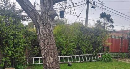 Habitaciones en La Reina