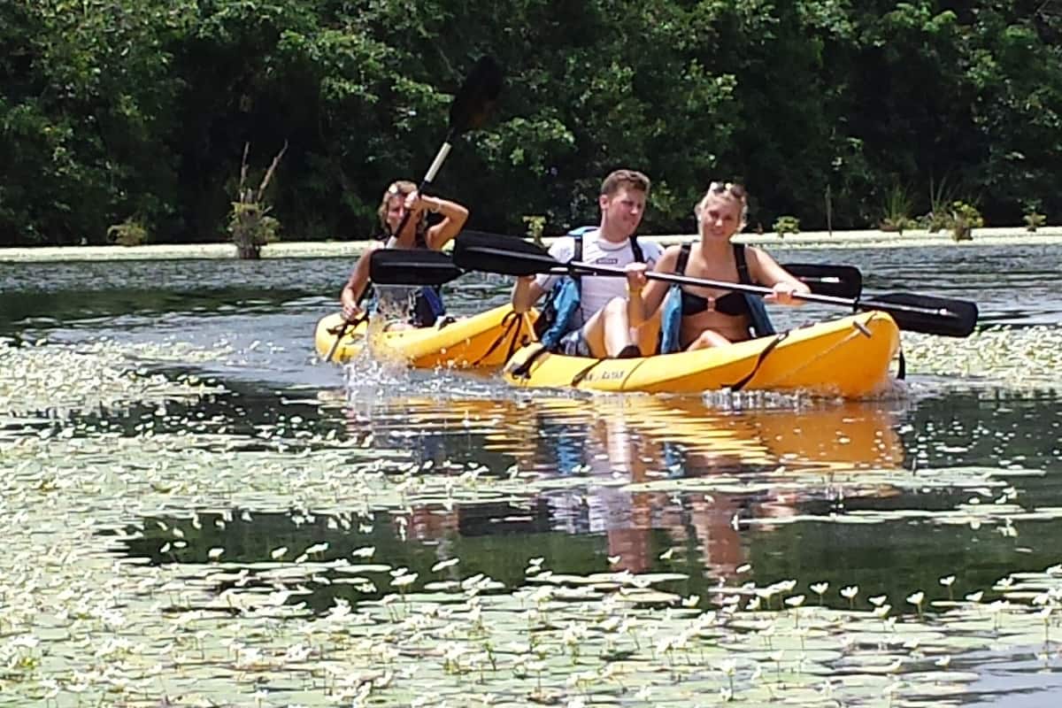 A group of people in a yellow kayak on a body of water with lily pads.