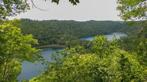 A natural landscape with a lake surrounded by dense forest. - Mayan World Adventures (Estero Franco)