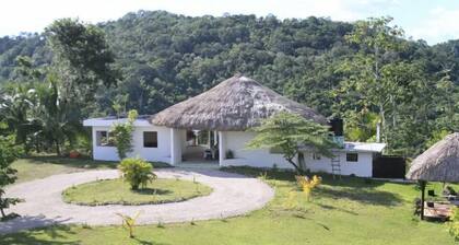 Mayan World Adventures