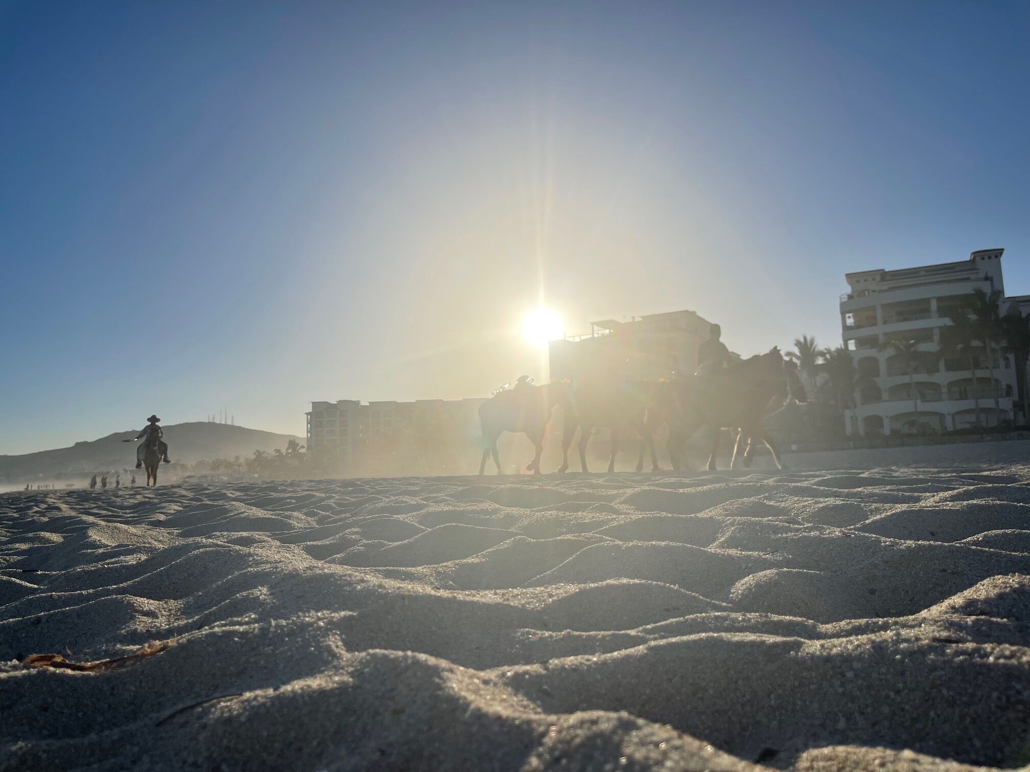 A beach with a clear sky and the sun shining. There are buildings in the background and a person riding a horse.