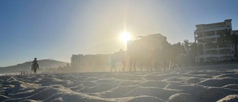 A beach with a clear sky and the sun shining. There are buildings in the background and a person riding a horse.