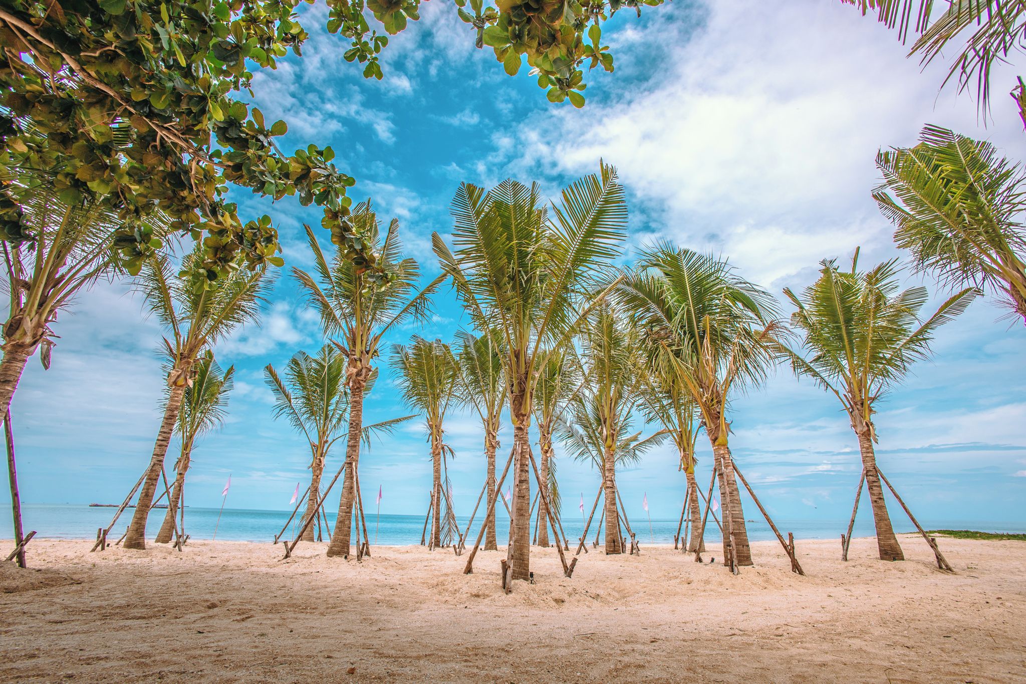 A beach with palm trees and a clear sky.