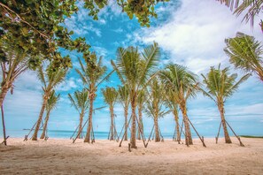 A beach with palm trees and a clear sky.