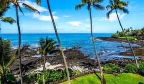 A coastal landscape with palm trees, rocky shoreline, and ocean view. - Kona Bali Kai#307 (Kailua-Kona)