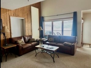 Tv, pejs, dvd-afspiller, videobibliotek