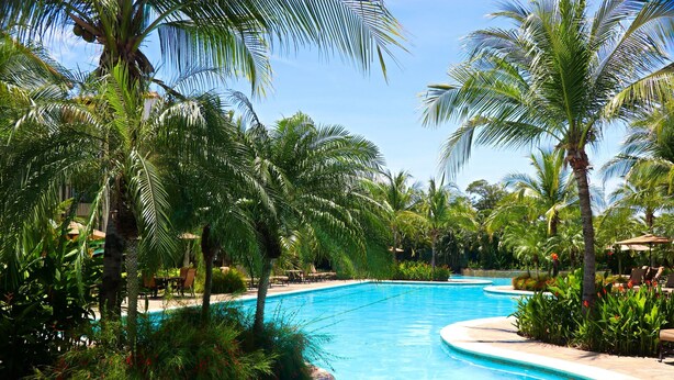 Ein Swimmingpool, umgeben von Palmen und Liegestühlen.