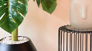 Un monstera en pot, avec de grandes feuilles vertes, est placé dans un pot noir, à côté d’un vase en céramique blanche, sur une étagère en fil de fer noir, le tout adossé à un mur uni.