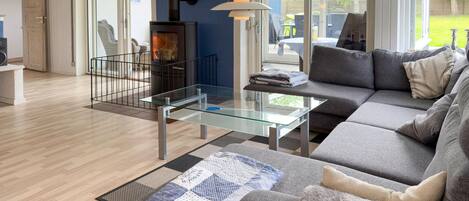 تلفزيون، مدفأة