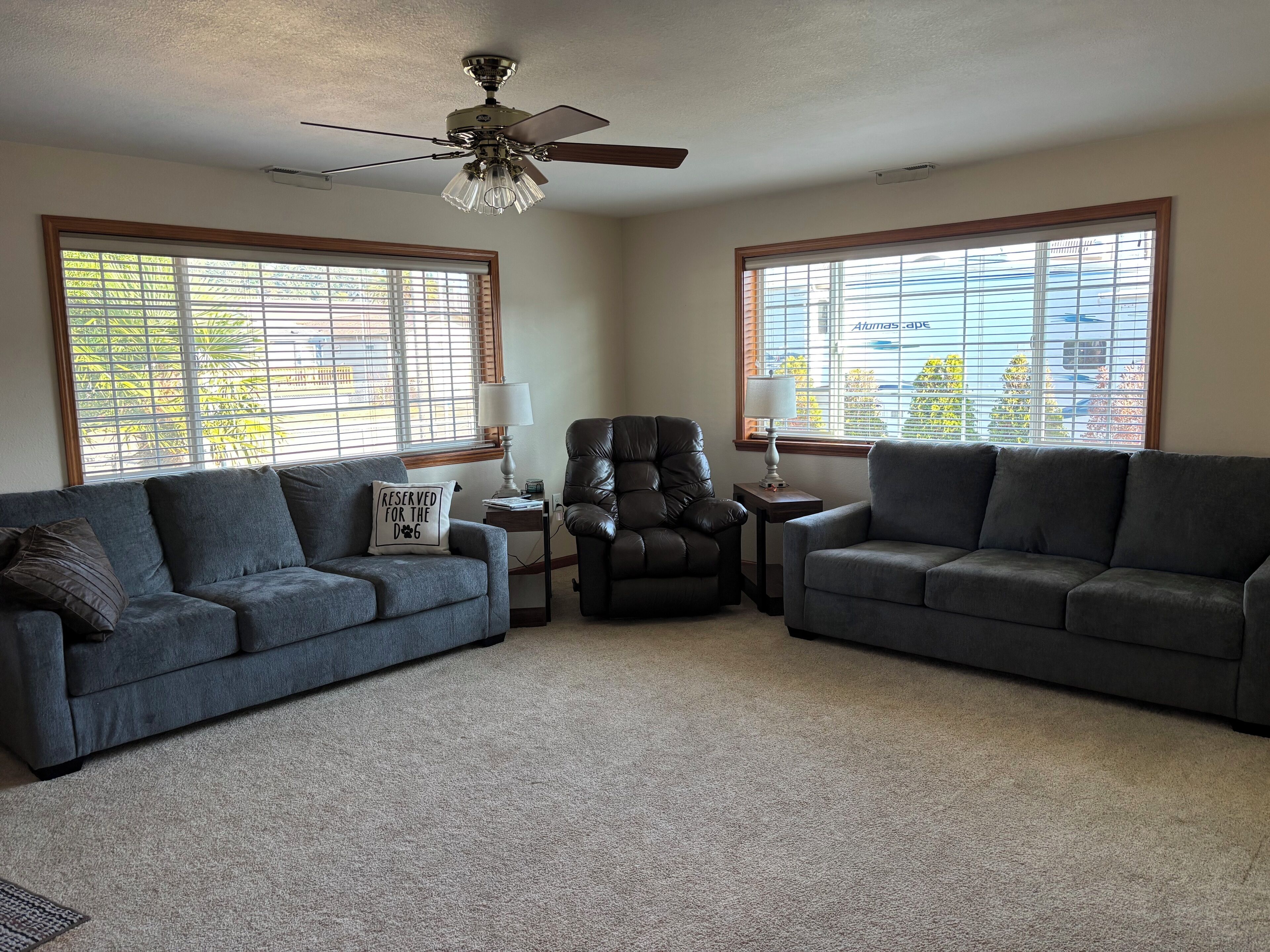 Smart TV, video games, DVD player