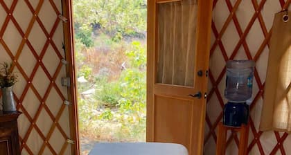 Cabin | Cozy Loft + Firepit | No Hidden Fees