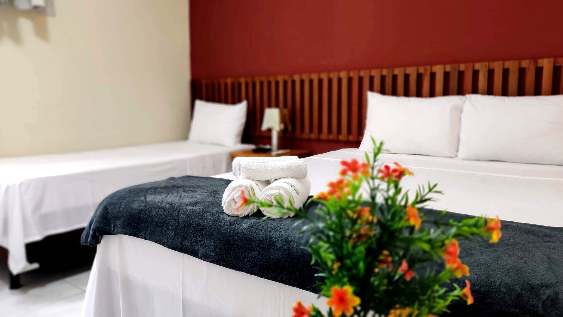 华丽四人房 | 免费 WiFi