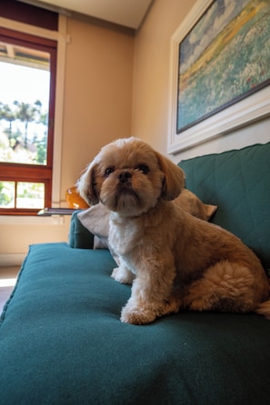 Pet-friendly amenities