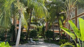 Un patio con palmeras, un sendero y mobiliario para exteriores.
