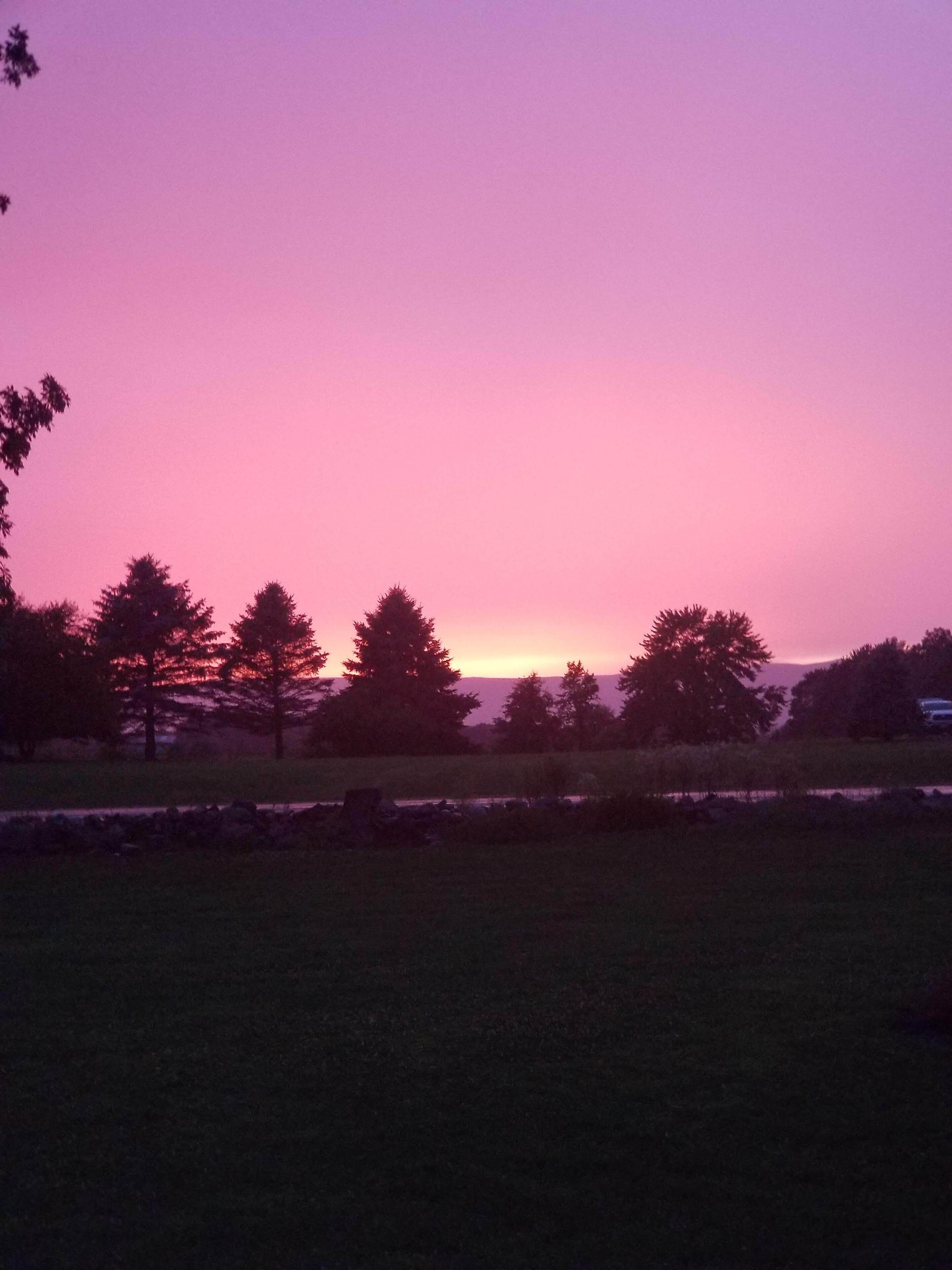 Un coucher de soleil sur un champ herbeux, avec des arbres se découpant en silhouette sur le ciel.