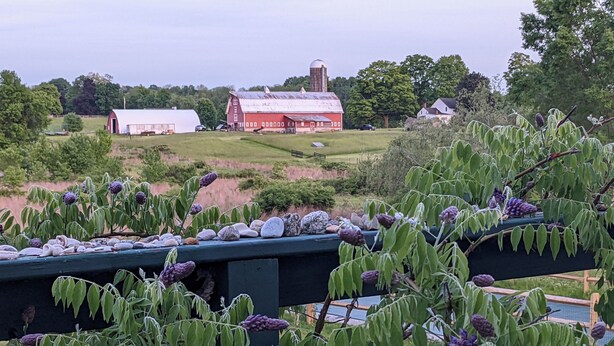 Ländliche Landschaft mit Scheune, Silo und Brücke, im Vordergrund Felsen und violette Blumen.