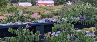 A Cozy Private Suite Near New Paltz, close to hiking, biking & the rail trail.