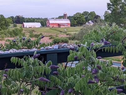 A Cozy Private Suite Near New Paltz: Farms, Nature, Hiking & Bike the rail trail