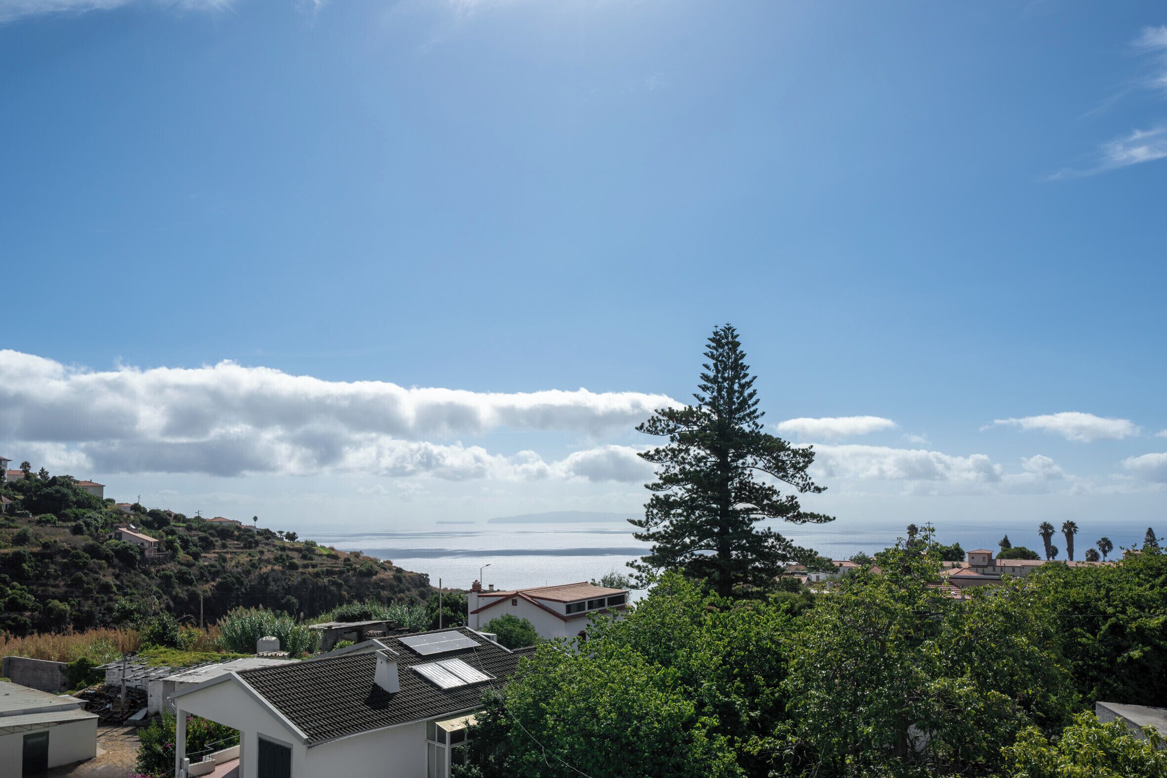 Ein Wohngebiet mit Häusern, einem großen Baum und Blick auf das Meer.