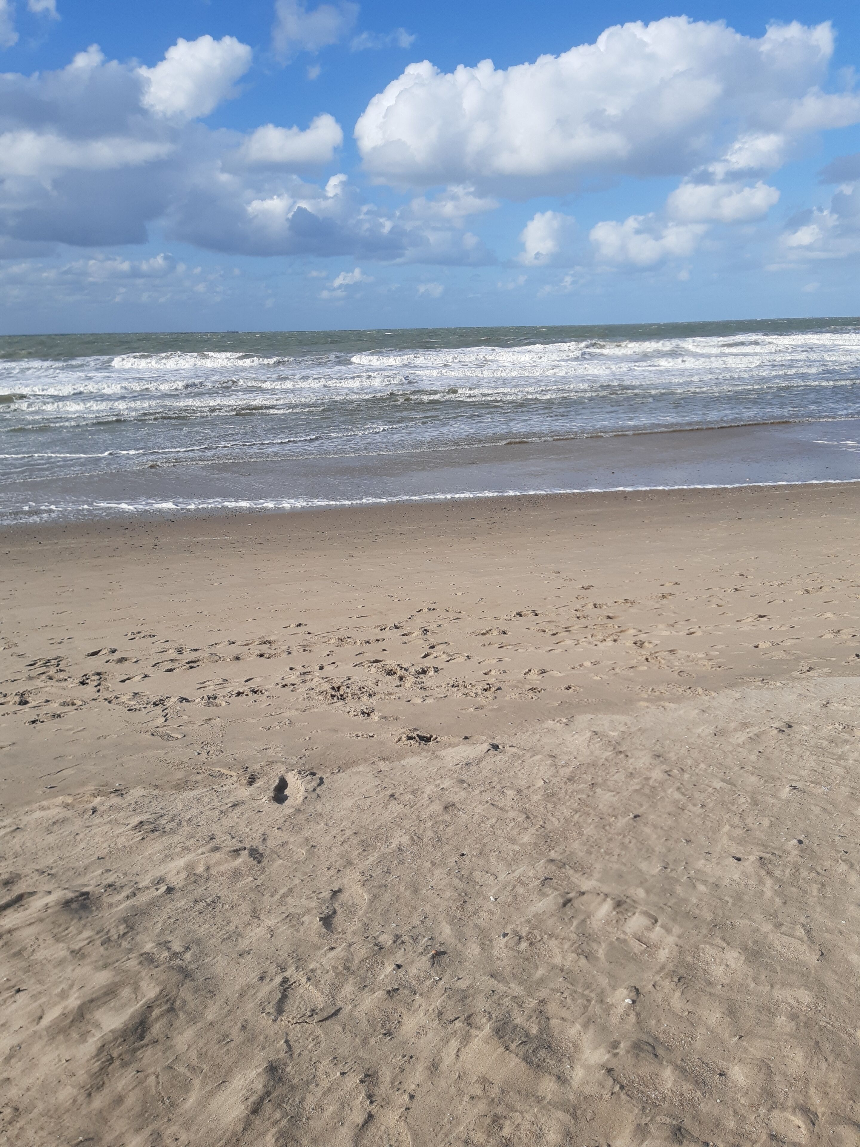 Sun-loungers, beach towels