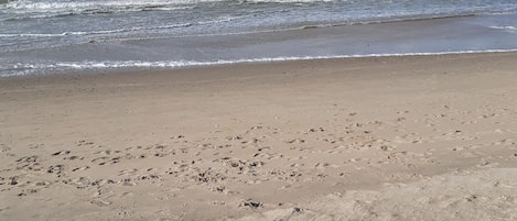 Chaises longues, serviettes de plage