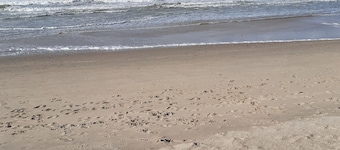 Mobile home Zita