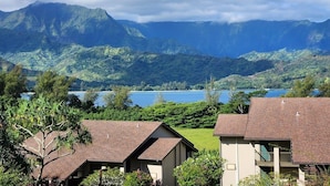 Un quartier résidentiel avec des maisons, un lac et des montagnes en arrière-plan.