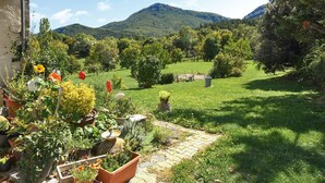 A garden with potted plants and a stone pathway leading to a grassy area with trees and a mountain in the background.