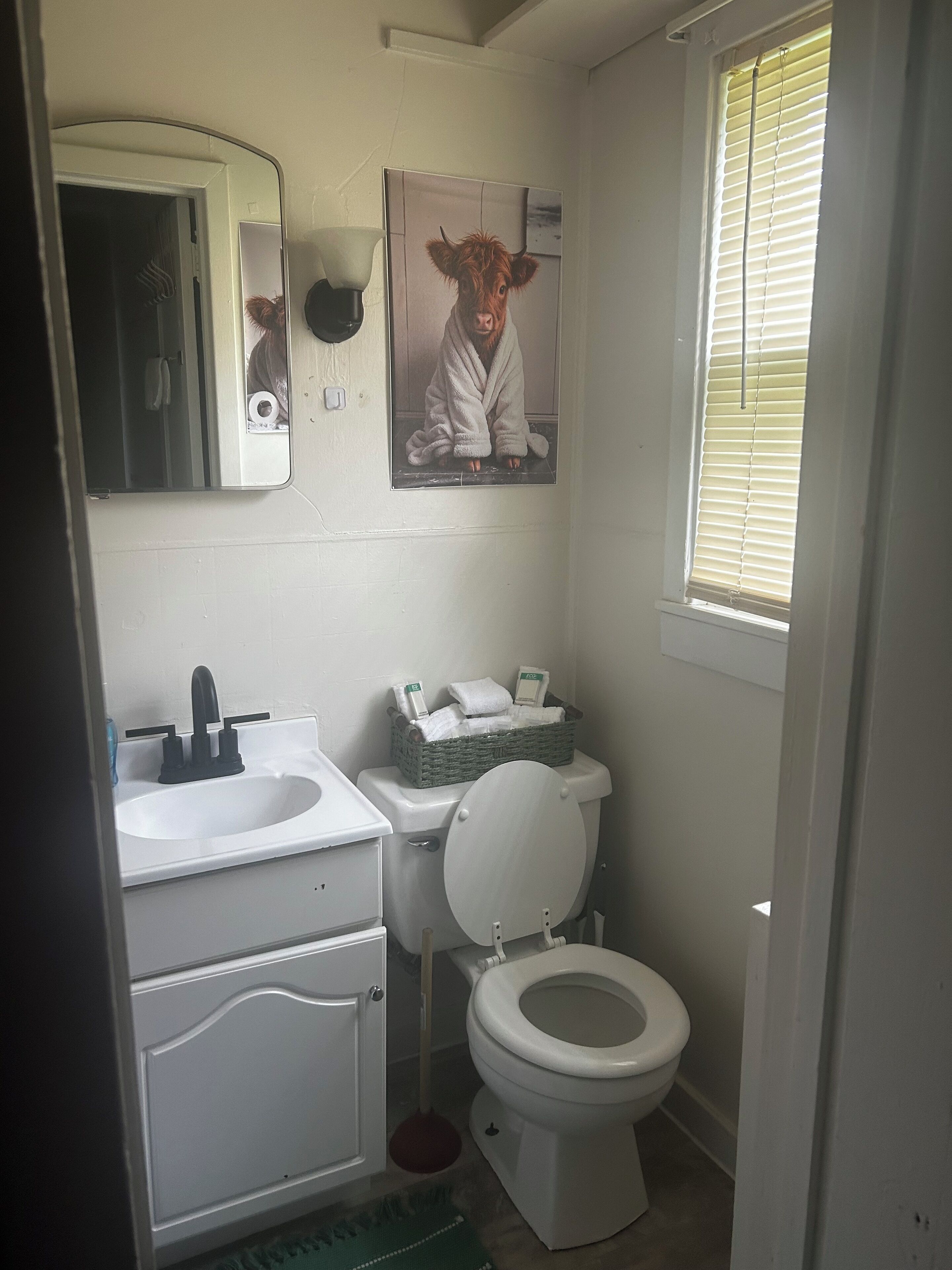 Ducha, toallas, jabón y champú