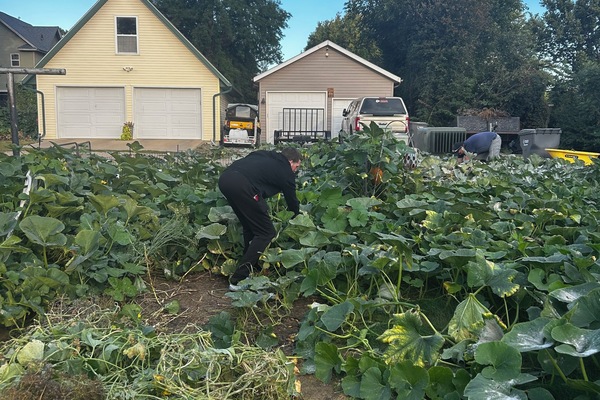 Terrein van de accommodatie