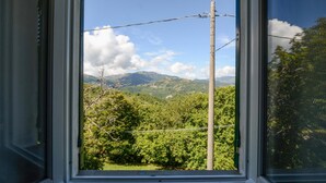 A window view of a mountainous landscape with a power line and a utility pole.