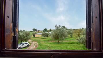 Interni