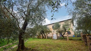 A rustic building with a brick wall and a metal gate, surrounded by olive trees and a grassy area. - 3 bedroom stunning home in Vignanello (Vignanello)