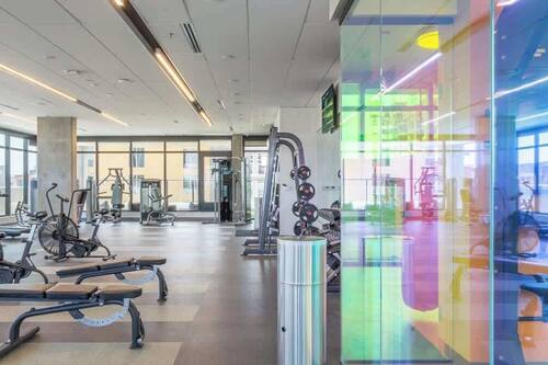 Gimnasio