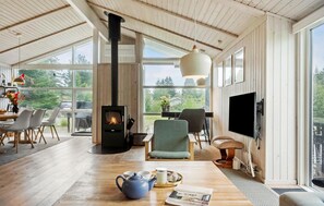 Smart-TV, Kamin