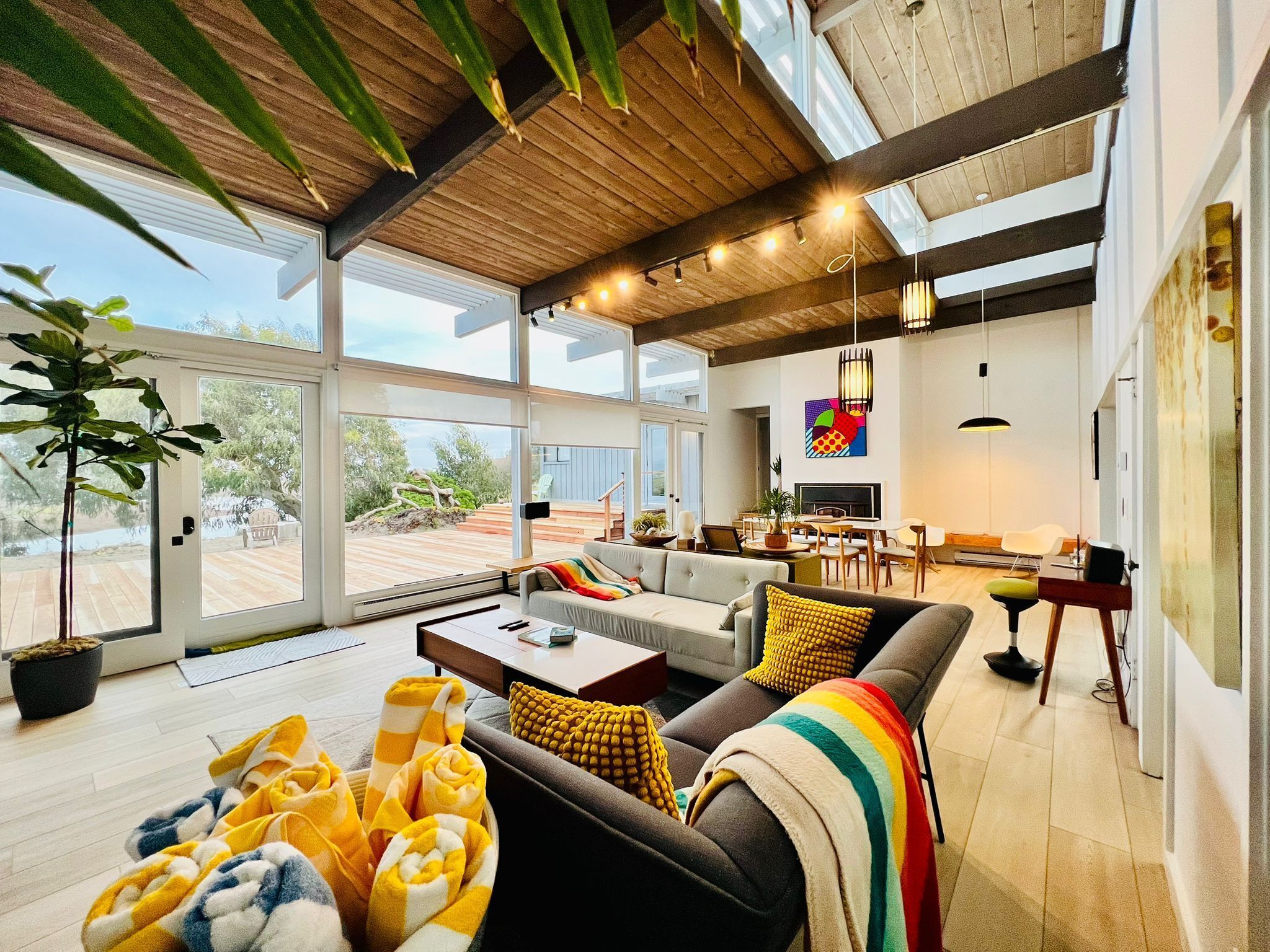 Smart TV, fireplace, books, music library