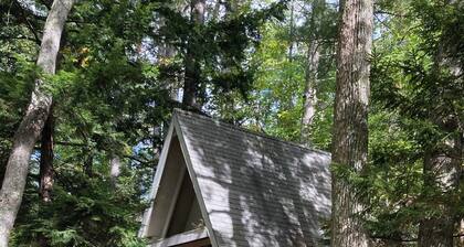 Delightful cabin in Washington