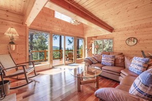 TV, fireplace, books, offices