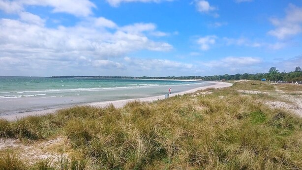 A coastal landscape with a sandy beach, grassy dunes, and a clear sky. - Stunning home in Höllviken with WiFi (Höllviken)