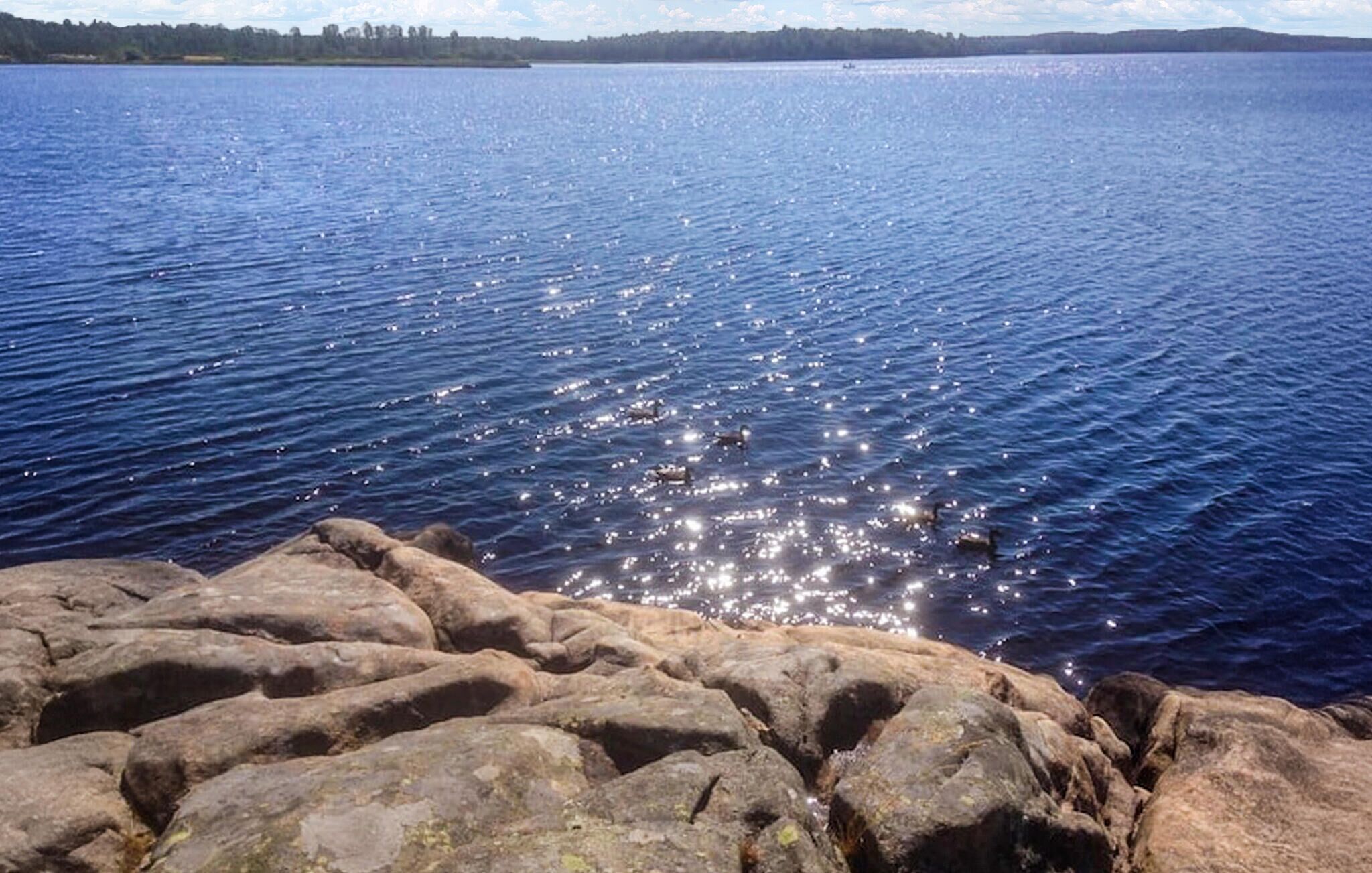 Kivikkoinen rantaviiva, jonka edustalla vesi on tyyntä ja heijastaa auringonvaloa.
