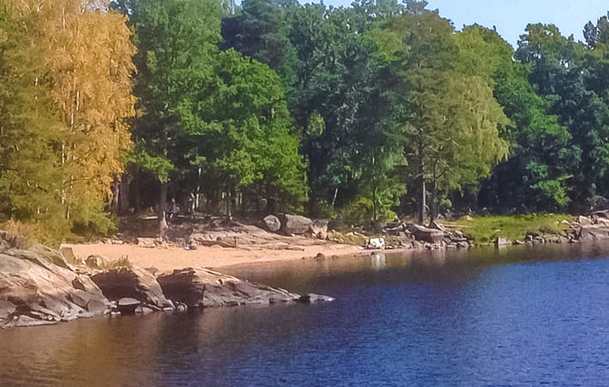 A lakeside scene with trees, rocks, and a sandy beach.